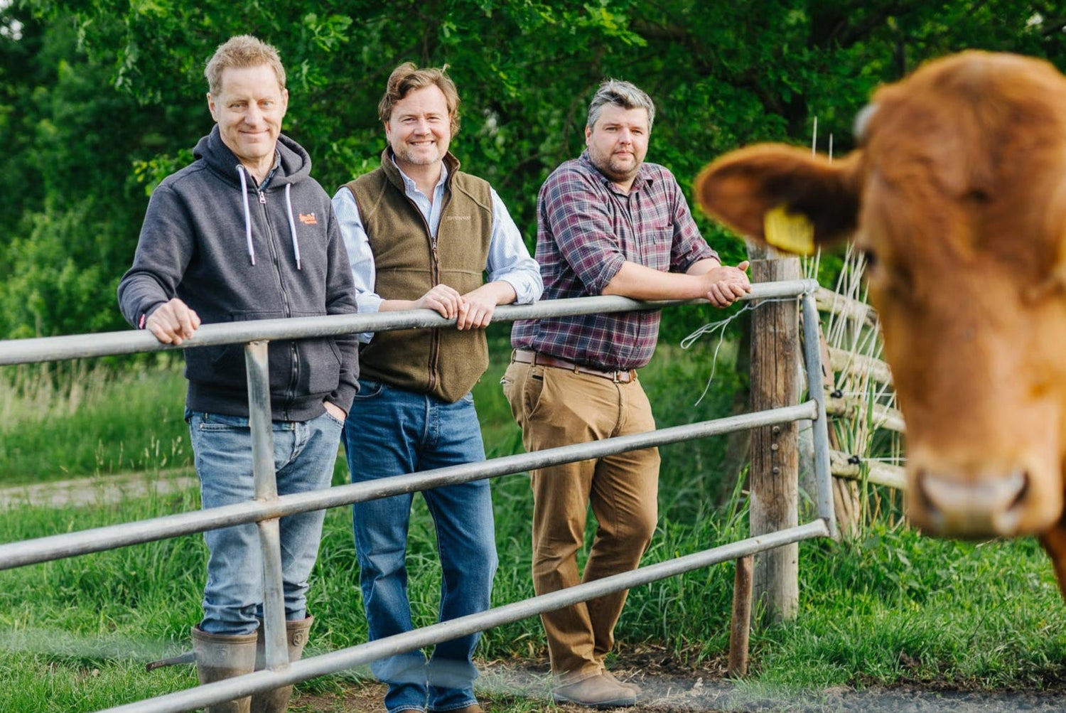 Wie wir unsere Rinder sortieren.