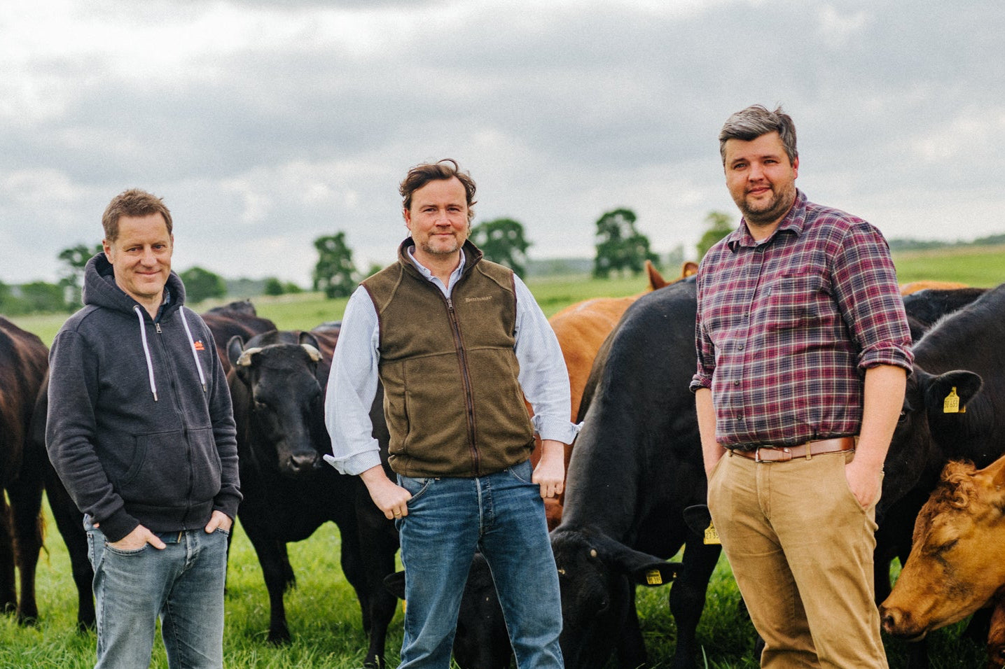 Folkert Koopmans, Sebastian Fietze und Andreas Winter prÀsentieren ihre Wagyu Rinder auf der Weide auf der Krautsand Farm
