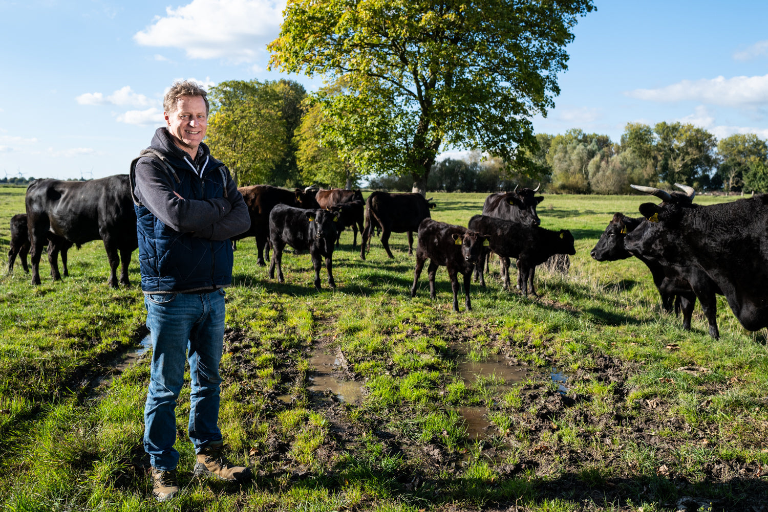 Krautsand Farm: So hat alles angefangen!