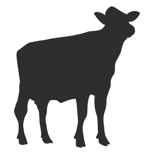 Bild vom Rind, die Krautsand Farm produziert nur Premium Rindfleisch nach biologischen Standards