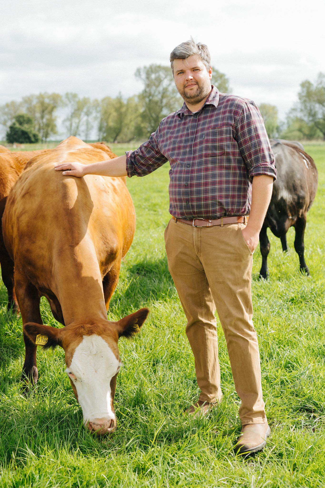 Andreas Winter streichelt ein Rind auf der Krautsand Farm