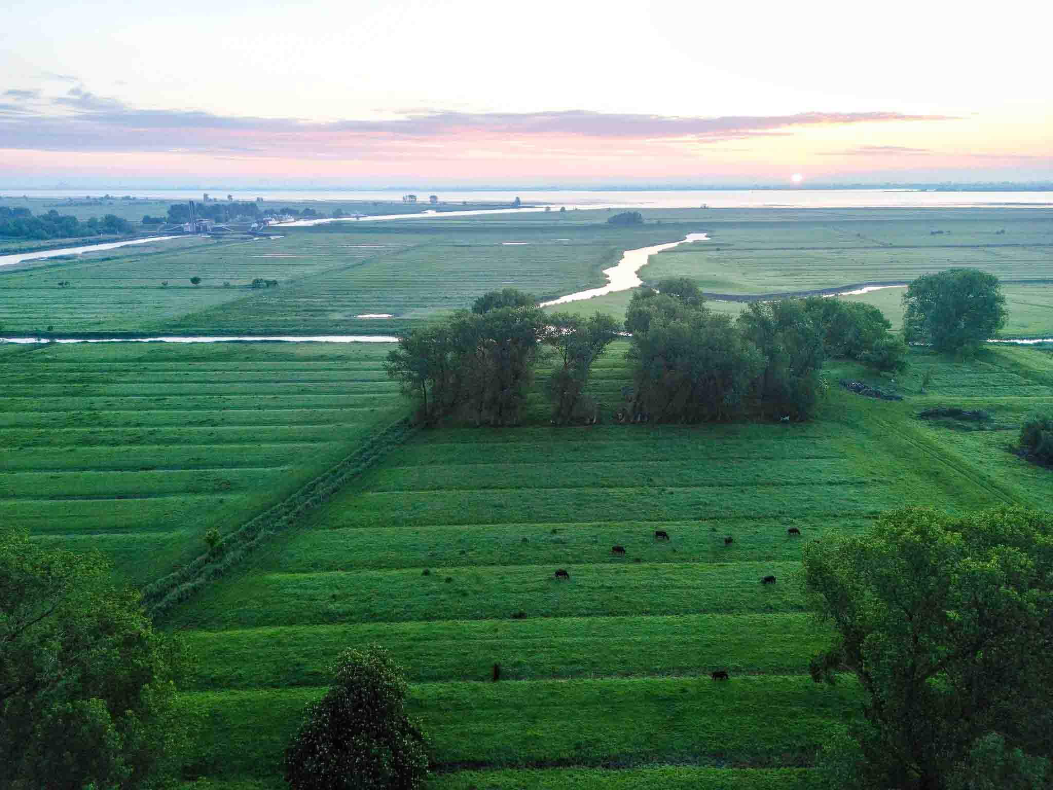Krautsandfarm